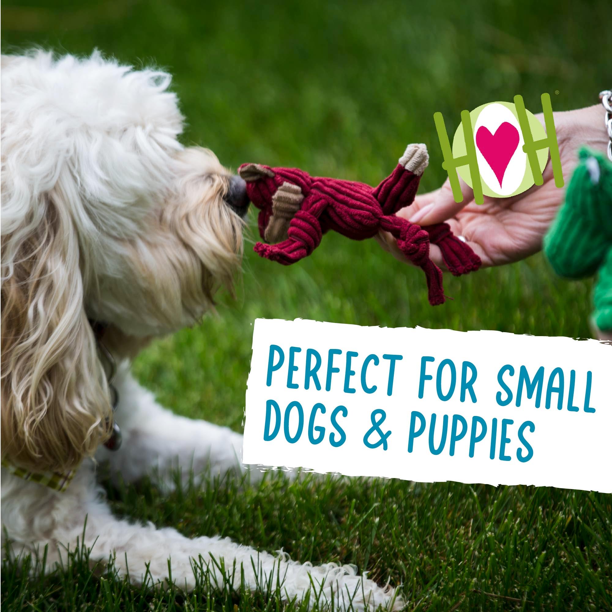 HuggleHounds Knottie plush toy for small dogs with soft corduroy exterior.