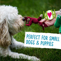 HuggleHounds Knottie plush toy for small dogs with soft corduroy exterior.