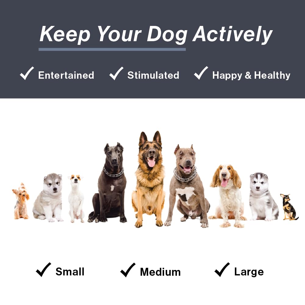 HugSmart interactive fetch indoor use promotes exercise and bonding