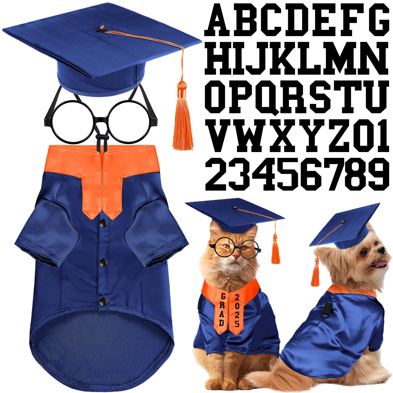 Huhumy dog graduation gown blue with orange stole for festive photos.