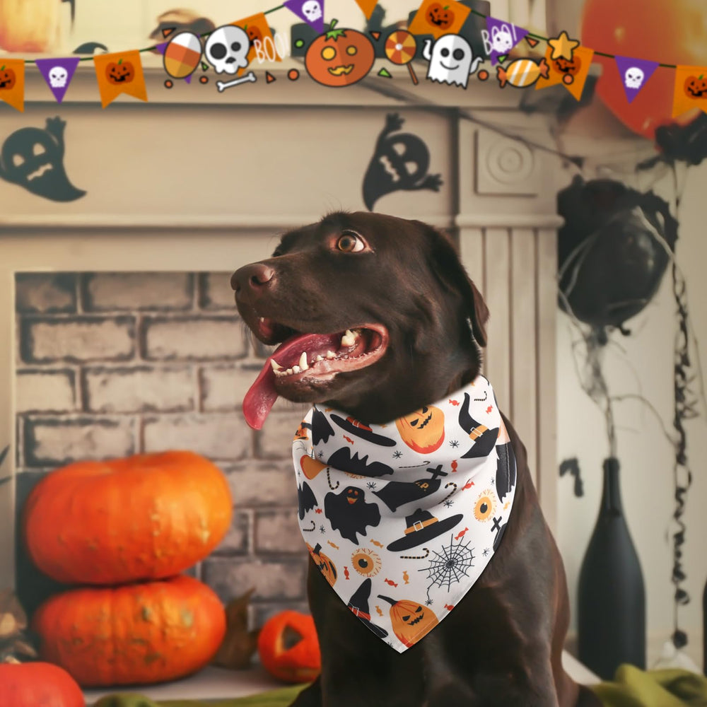 Huhumy bandanas are washable and reusable for ongoing Halloween fun