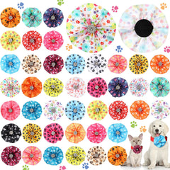 Huhumy paw print collar bows collection adds vibrant, photo-ready flair to pets.