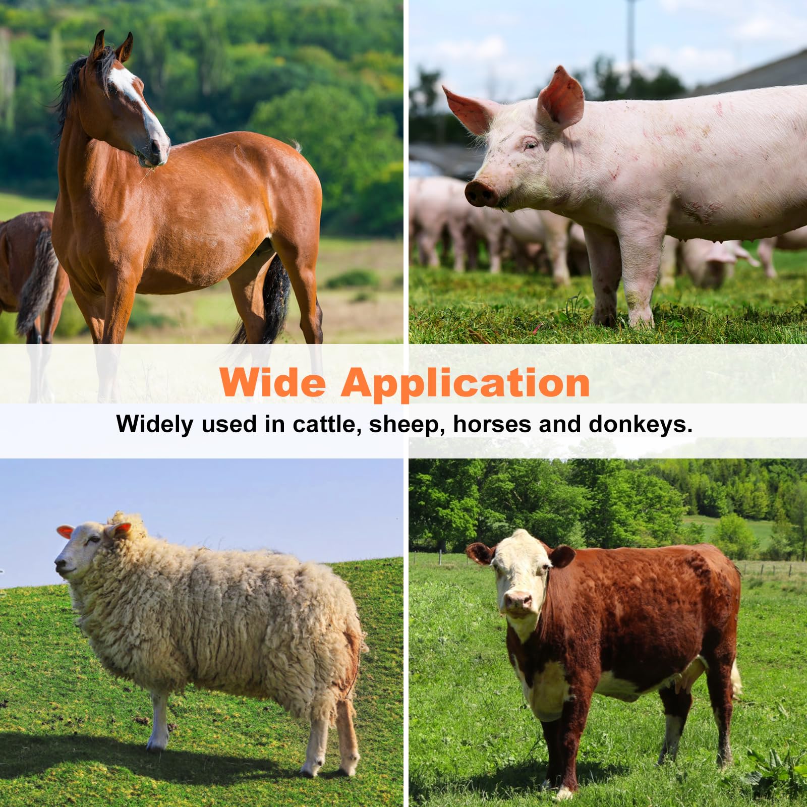 Huimpet gloves provide safety and grip during hoof care tasks