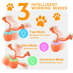 Huimpet Interactive Dog Ball blue light mode supports energetic playtime