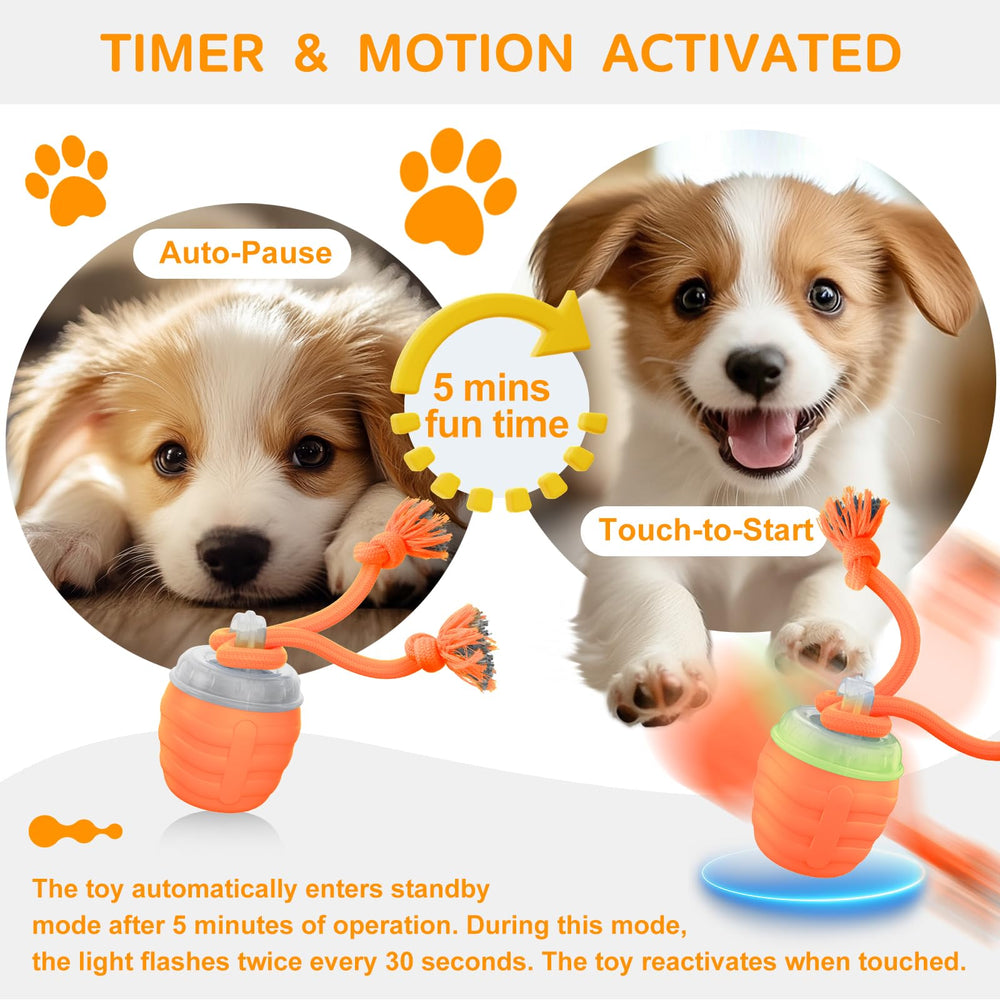 Huimpet Interactive Dog Ball green light mode offers interactive training and focus