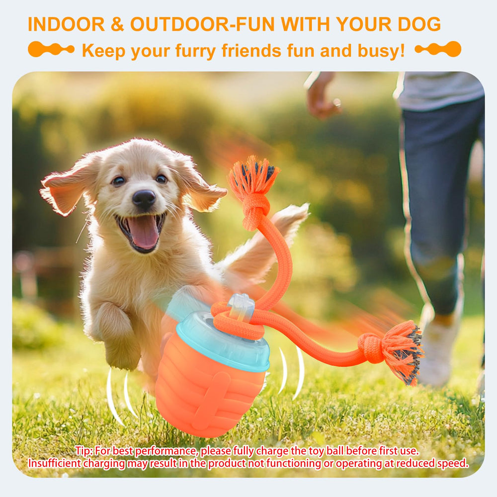 Huimpet Interactive Dog Ball orange top view highlighting compact design for indoor use