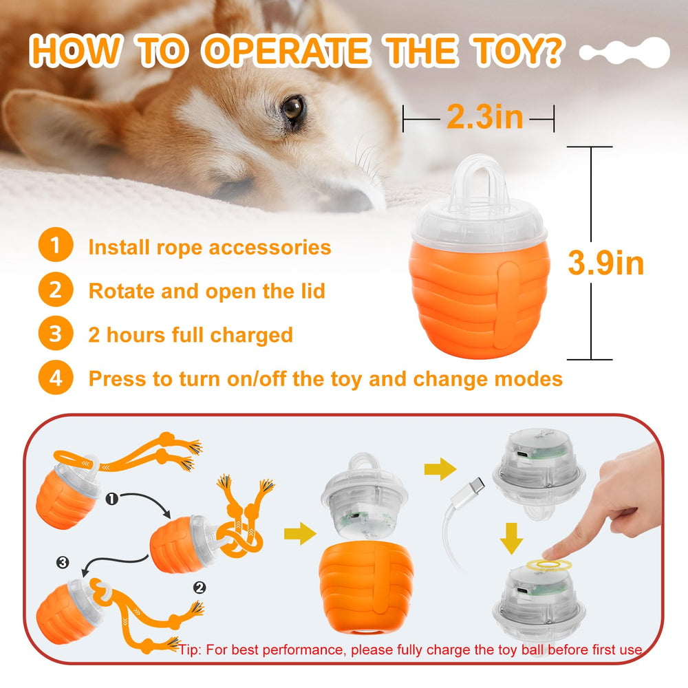 Huimpet Interactive Dog Ball package content includes rope attachments and USB cord