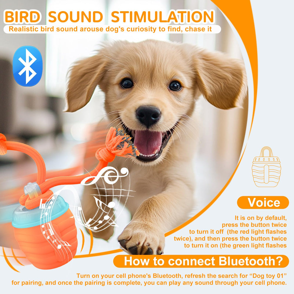 Huimpet Interactive Dog Ball USB-C recharge for easy, mess-free power