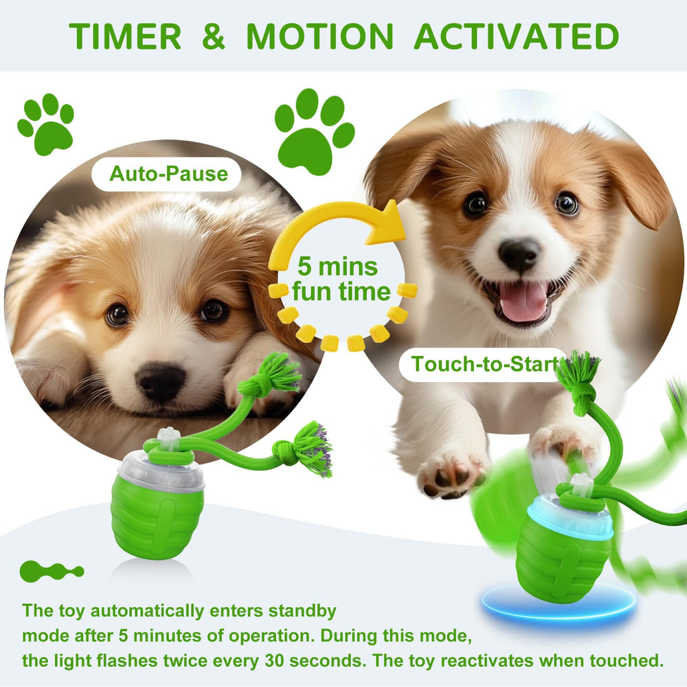 Huimpet three-mode setup offers fast slow and interactive play options.