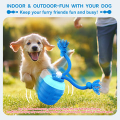 Huimpet interactive dog ball with rope attachment encourages tug-play and fetch training.