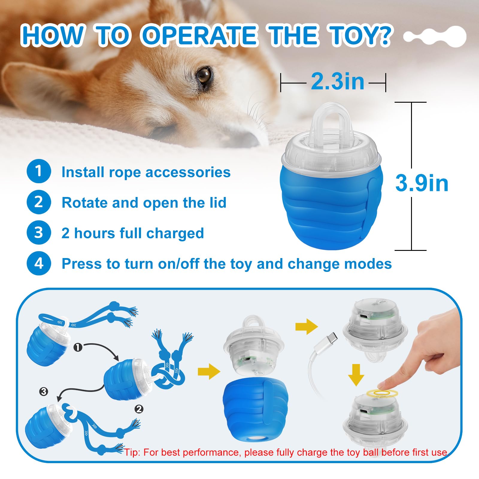 Huimpet interactive dog ball on carpet and hardwood demonstrates versatile play.
