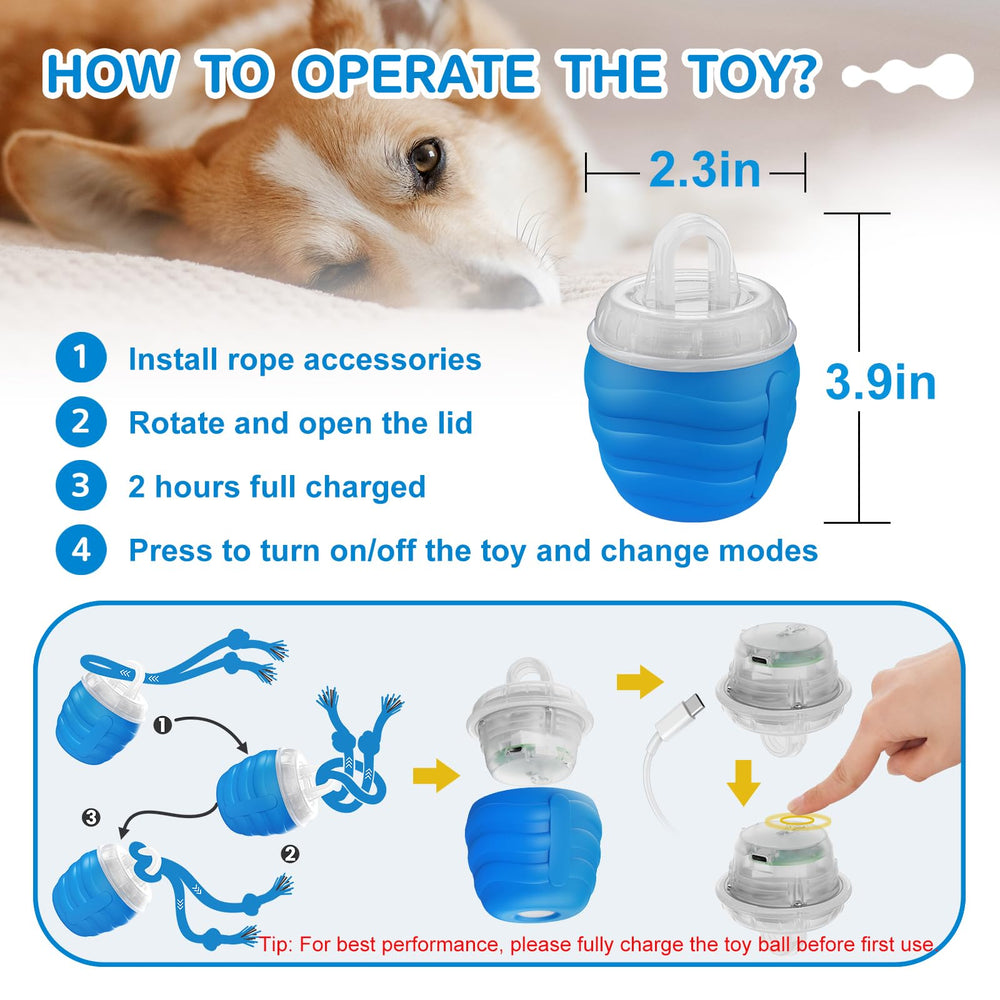 Huimpet interactive dog ball on carpet and hardwood demonstrates versatile play.