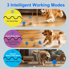 Huimpet Interactive Dog Ball IP54 waterproof for indoor and outdoor adventures