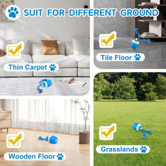 Huimpet dog ball shows blue-purple-green modes to tailor play to energy levels.