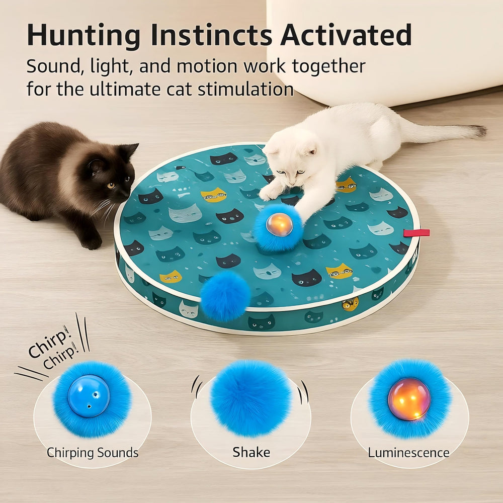 Huimpet LED lights ignite curiosity during playful hunting sessions.