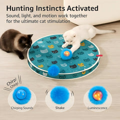 Huimpet LED lights ignite curiosity during playful hunting sessions.