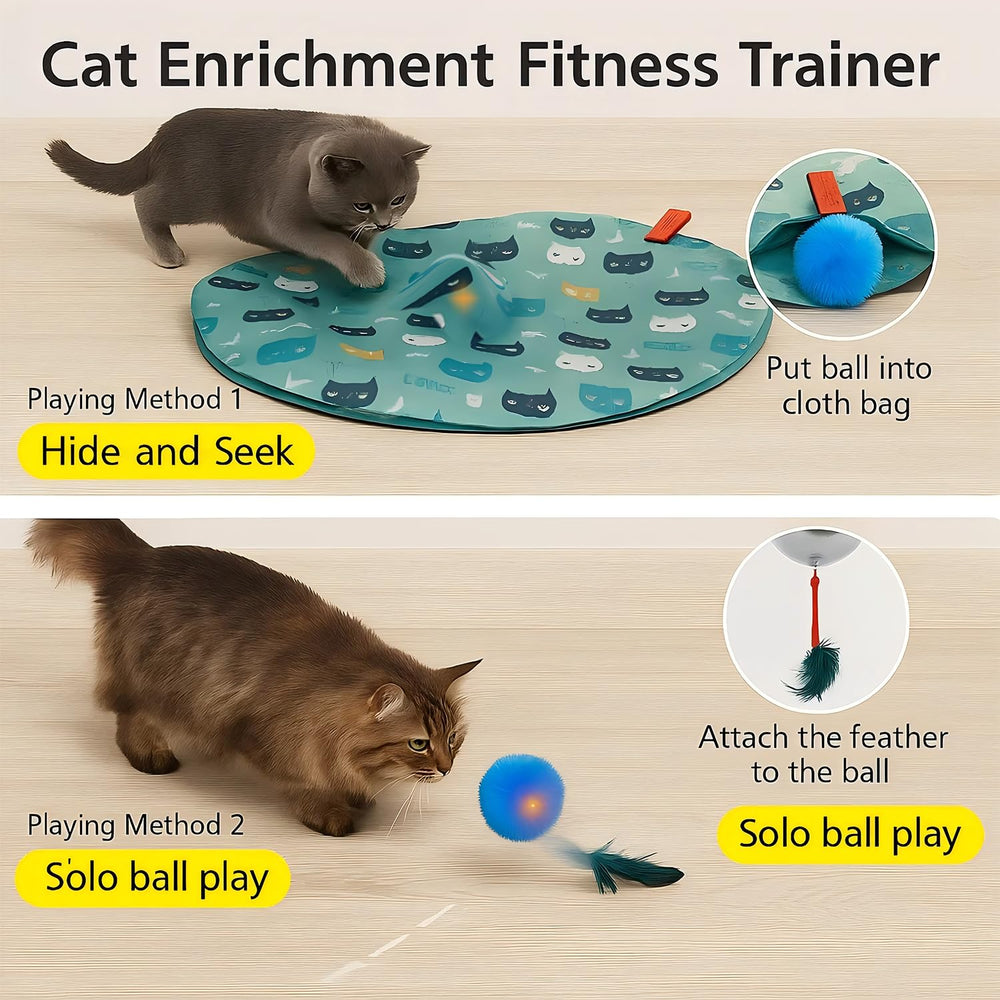 Huimpet motion balls rolling across the teal mat for active play.