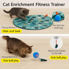 Huimpet motion balls rolling across the teal mat for active play.