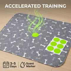 Huiteng XR: materiales resistentes a mordidas para entrenamiento diario.