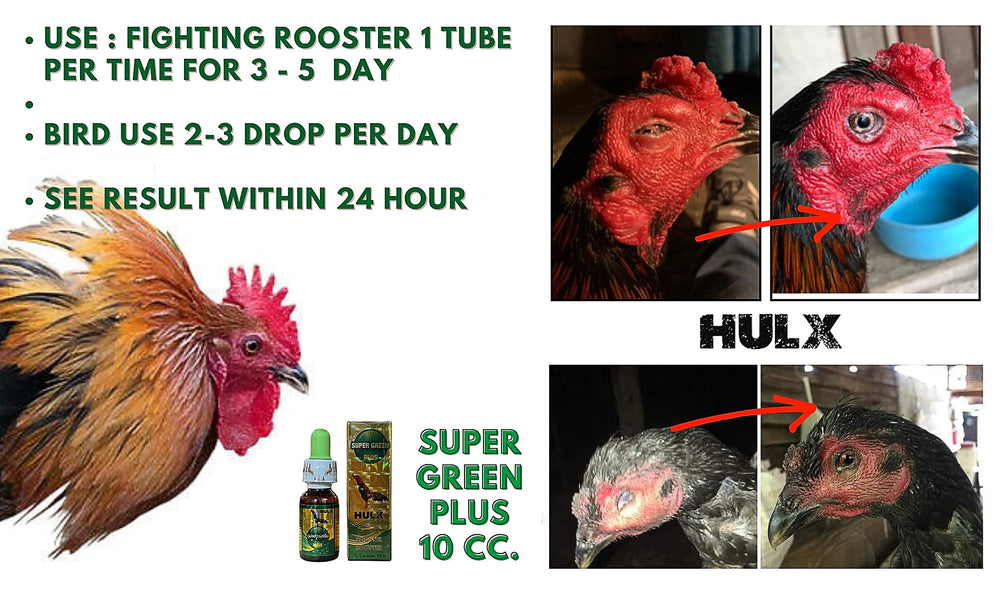 HULX Super Green 10cc rooster dosing dropper demonstrates daily drops for energy and immunity.
