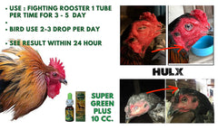 HULX Super Green 10cc rooster dosing dropper demonstrates daily drops for energy and immunity.