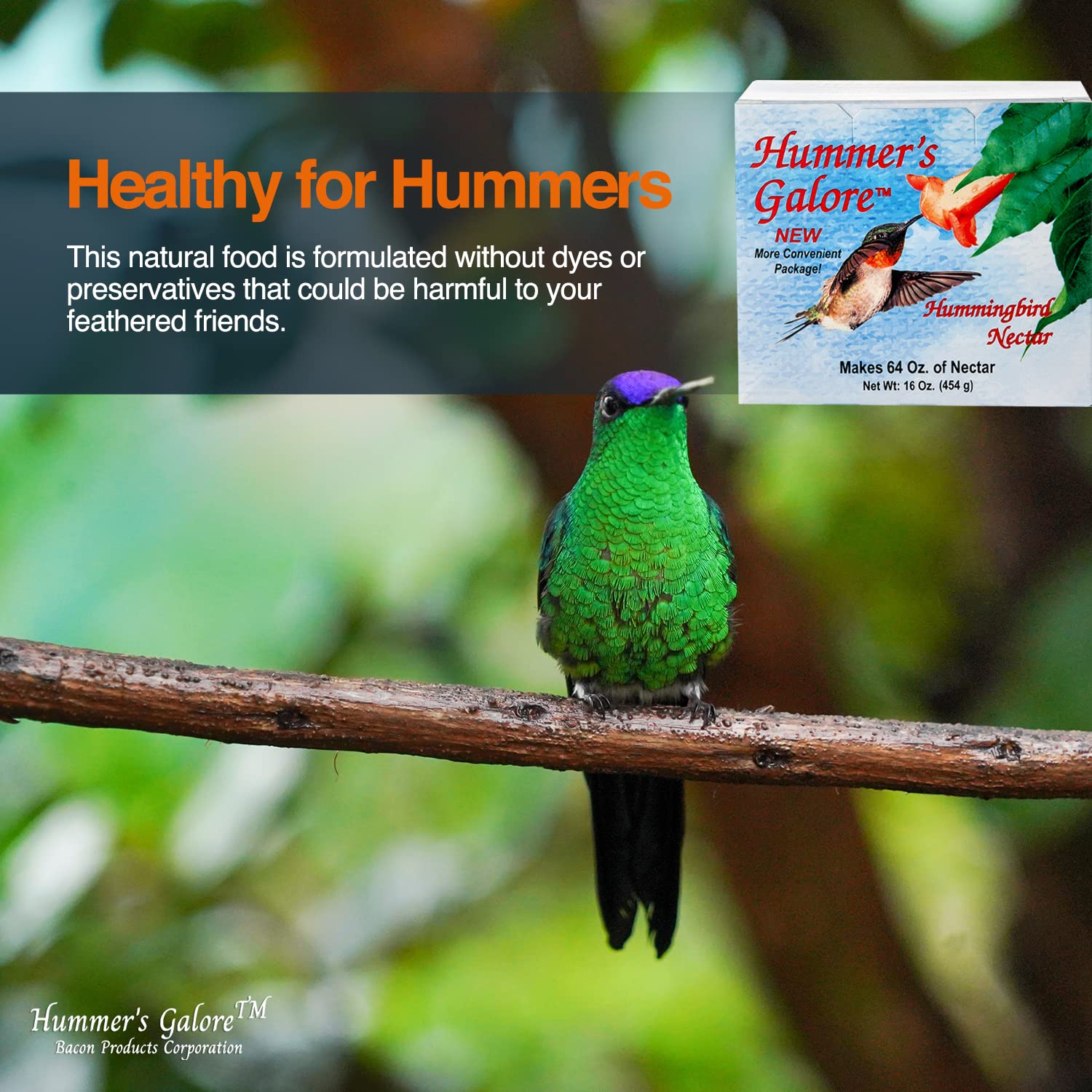 Hummer's Galore nectar for outdoor feeders supports energetic hummingbirds.