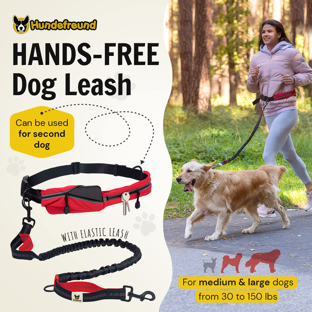 Hundefreund adjustable waist belt demonstrates secure, comfortable fit for long runs