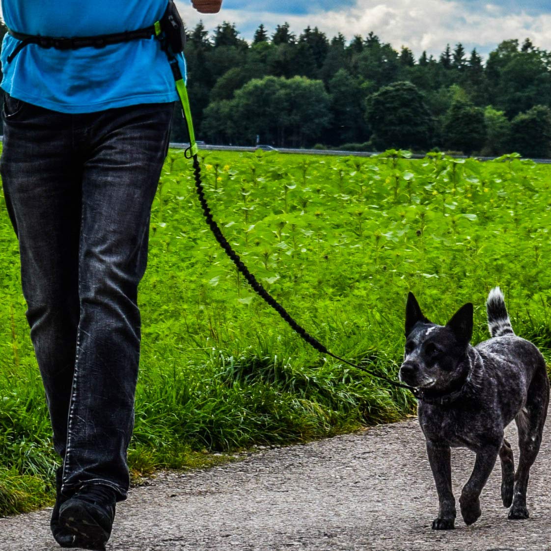 Hundefreund pouch for treats and poop bags keeps essentials handy