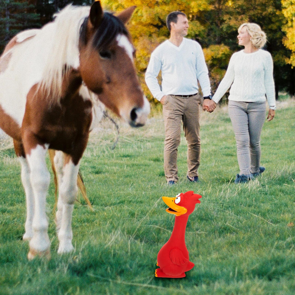 Hungdao washable durable toy squeaker, safe for dogs and cats after use.