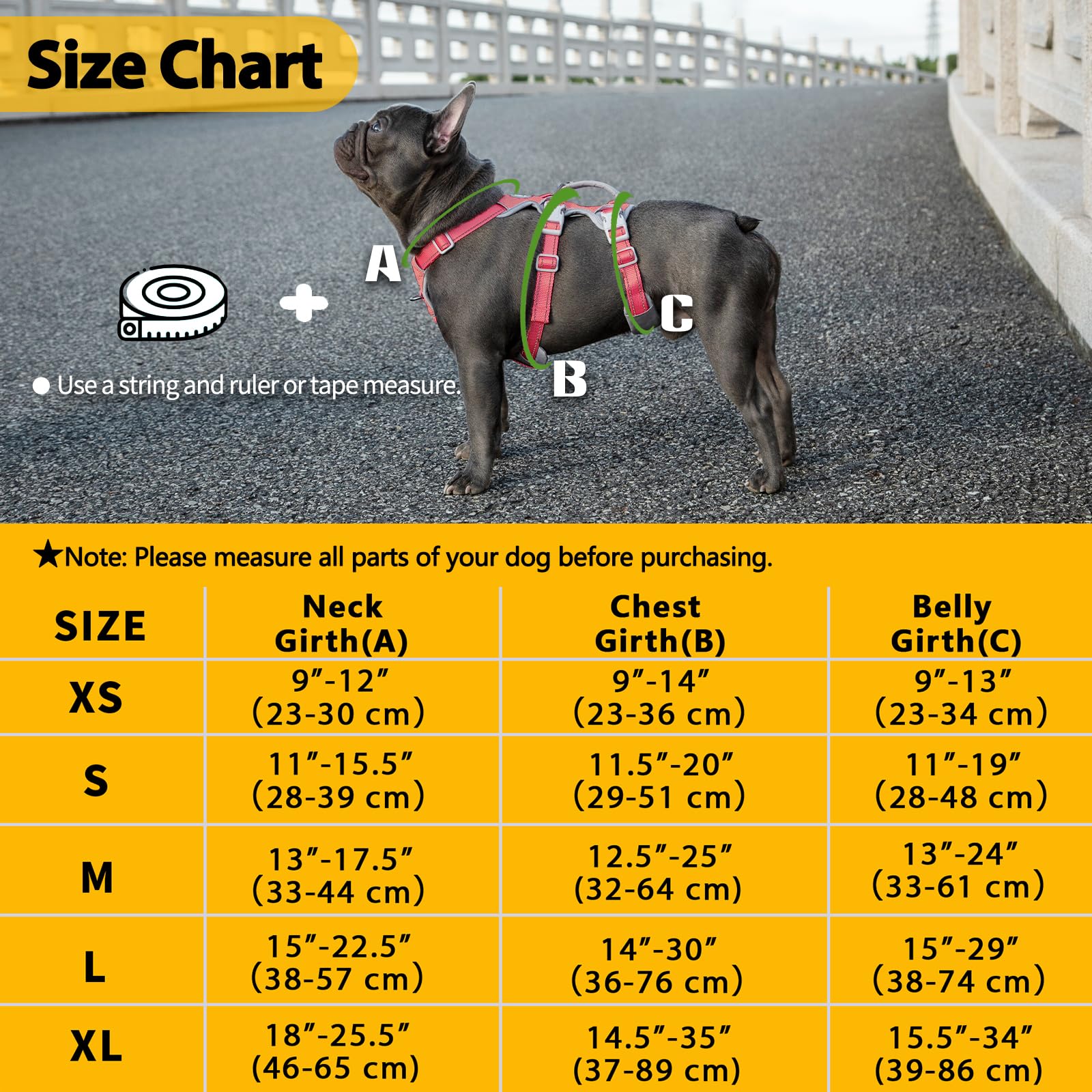 Huntboo back D-ring leash clip for secure control from behind.