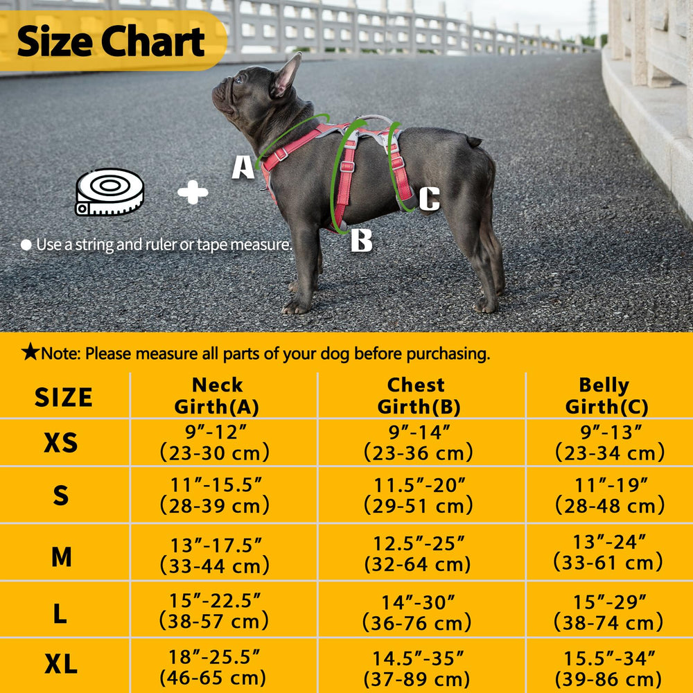 Huntboo back D-ring leash clip for secure control from behind.