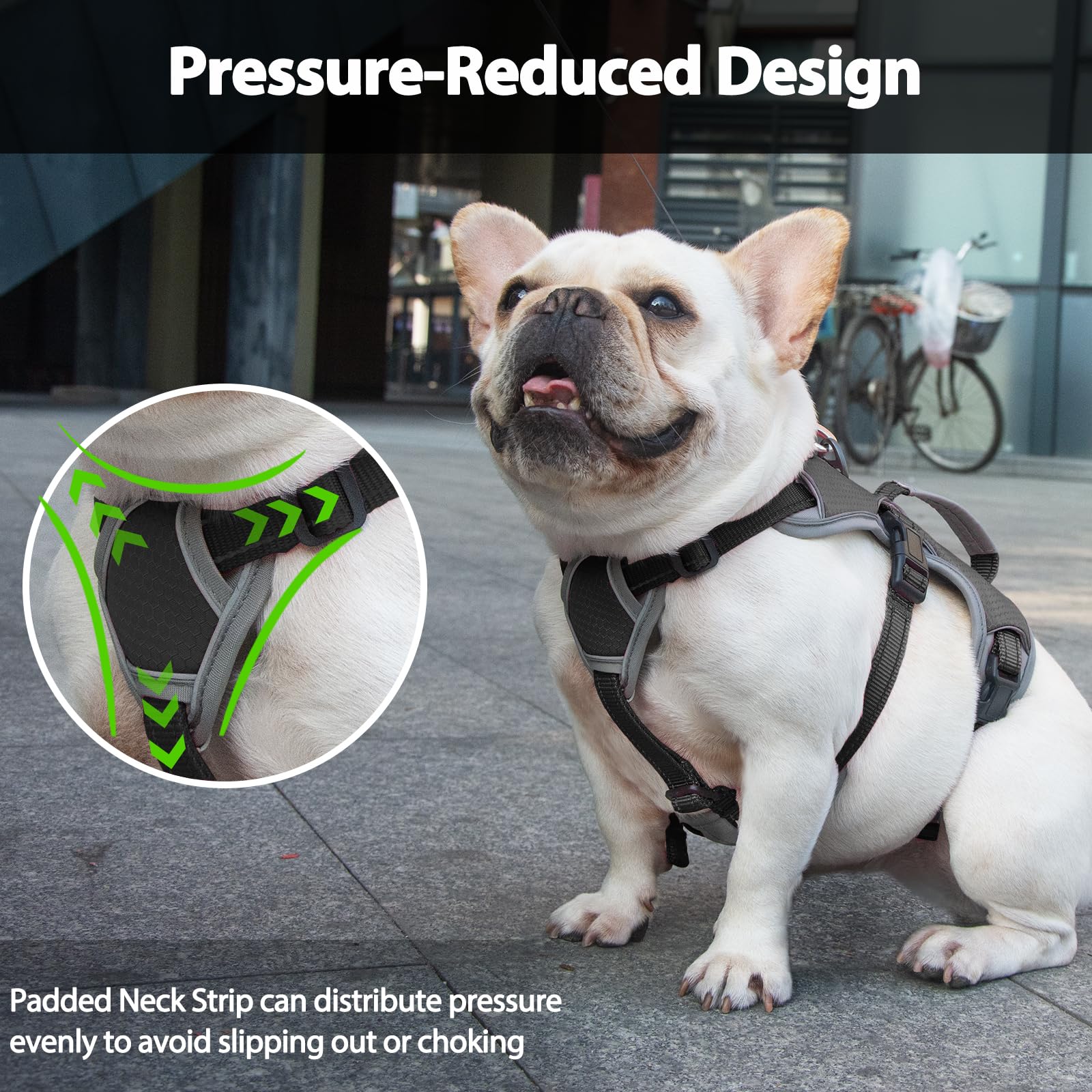 Huntboo back D-ring harness offers durable leash control