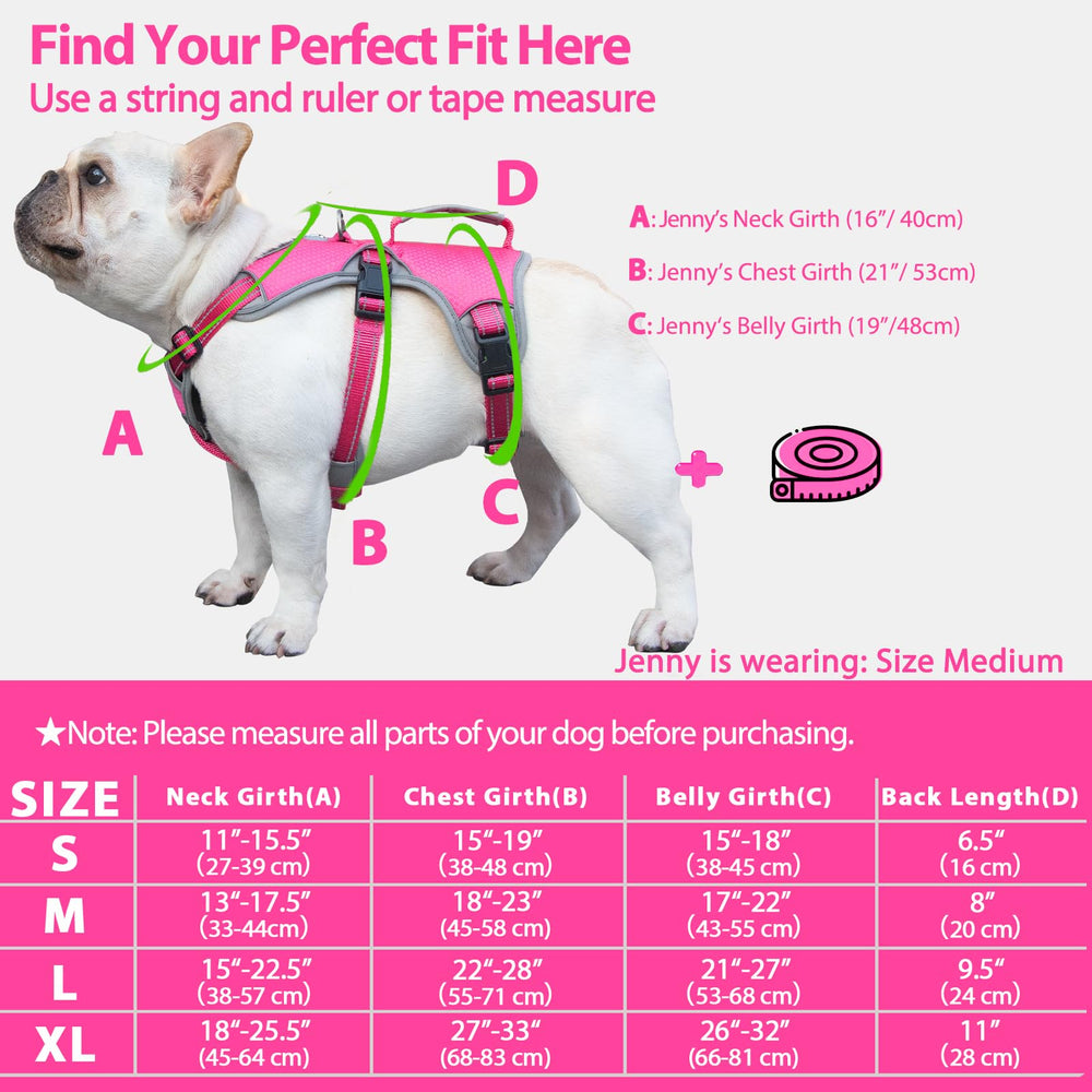 Huntboo back D-ring and sturdy nylon for durable control