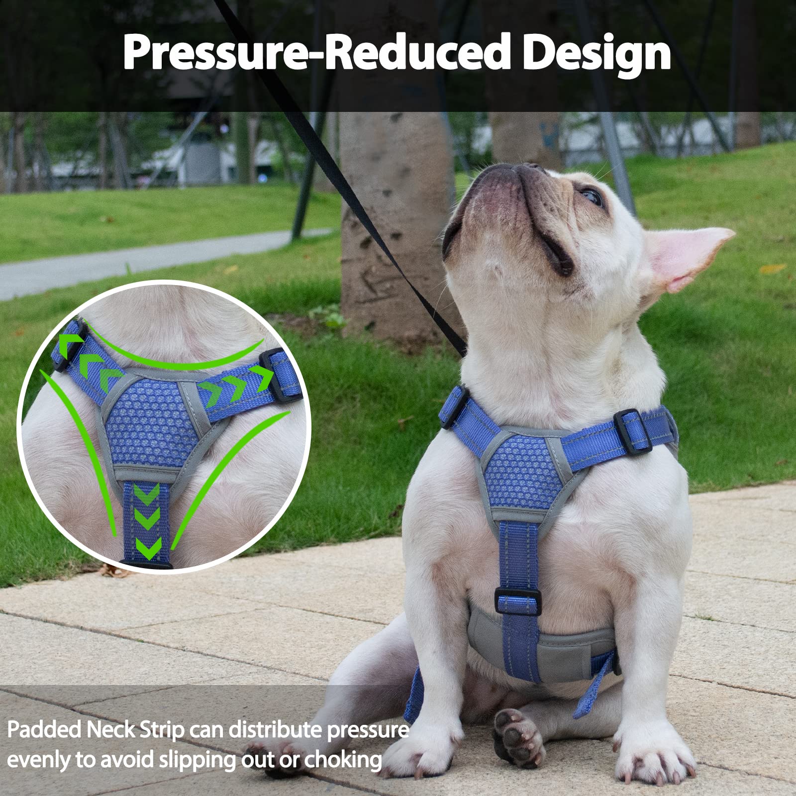 Huntboo back-d-ring sturdy nylon build supports reliable leash control.