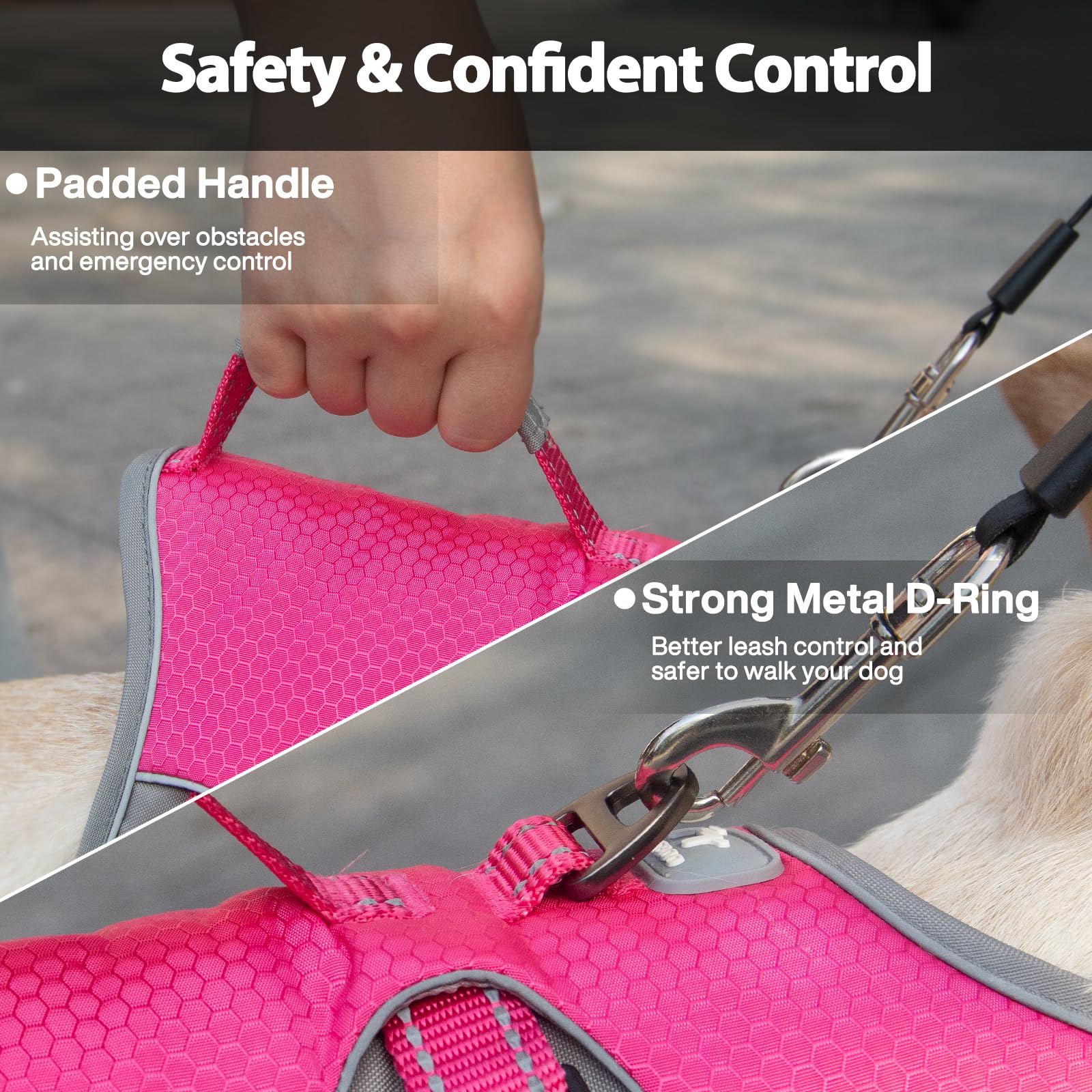 Huntboo belly-strap detail helps keep your dog secure during walks
