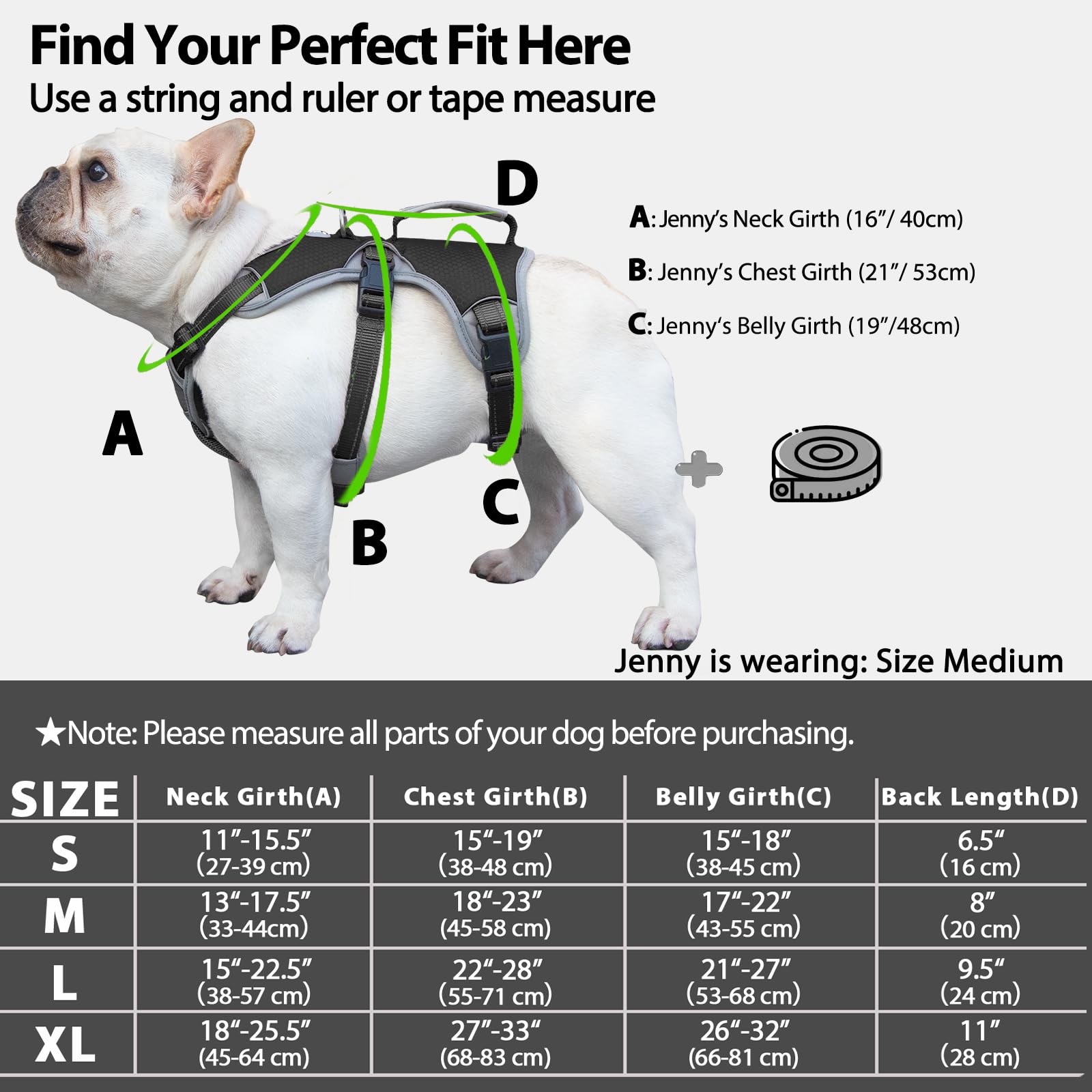 Huntboo belly-strap escape-proof harness secures dogs during training