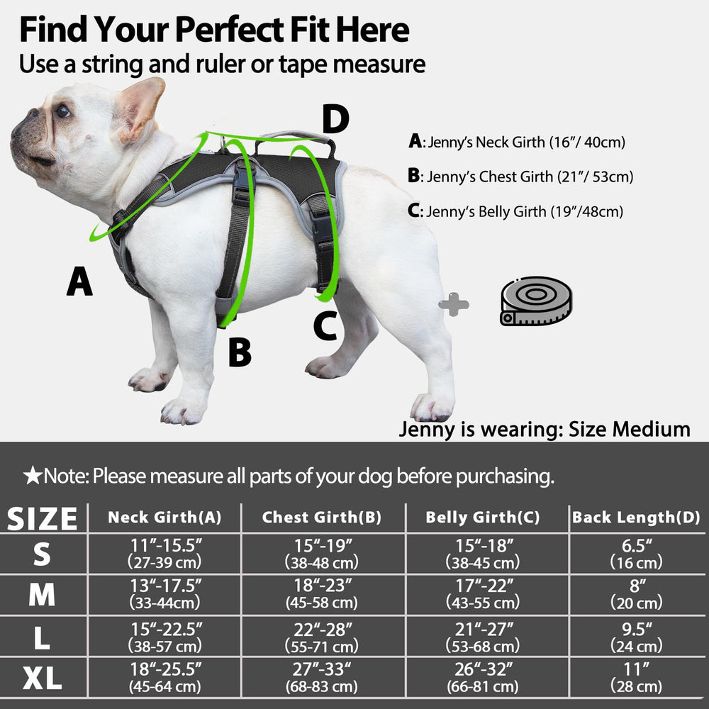 Huntboo belly-strap escape-proof harness secures dogs during training