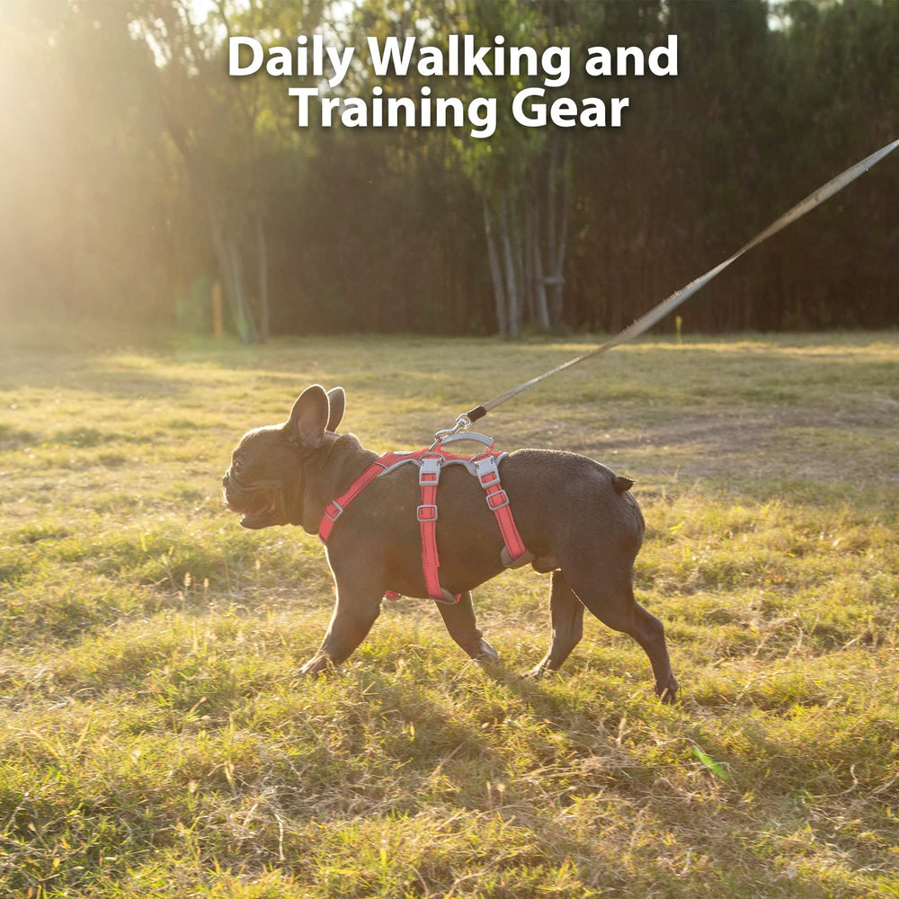 Huntboo breathable air-mesh harness delivers all-day comfort on walks.