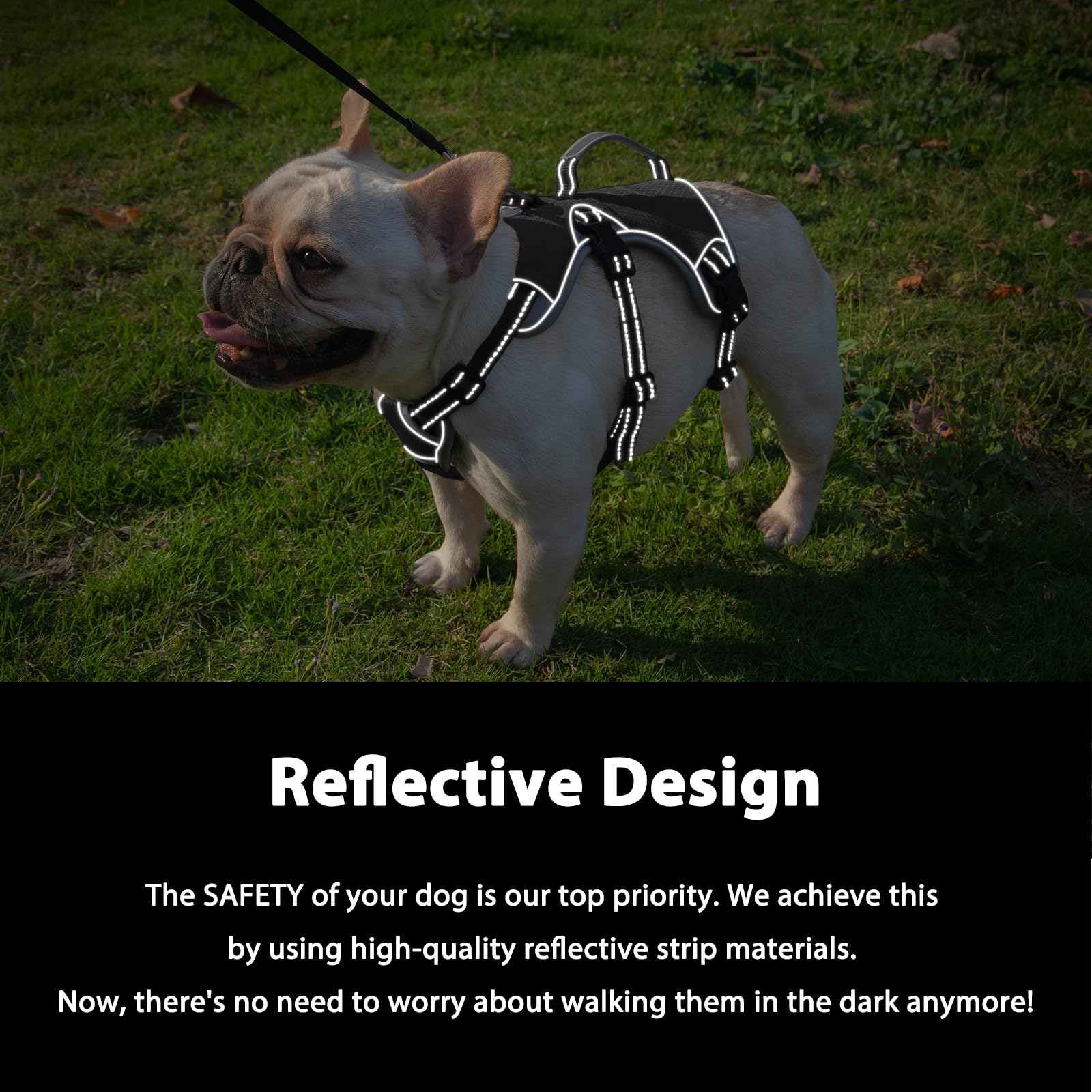 Huntboo dog harness with handle for easier lift and assist