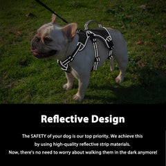 Huntboo dog harness with handle for easier lift and assist