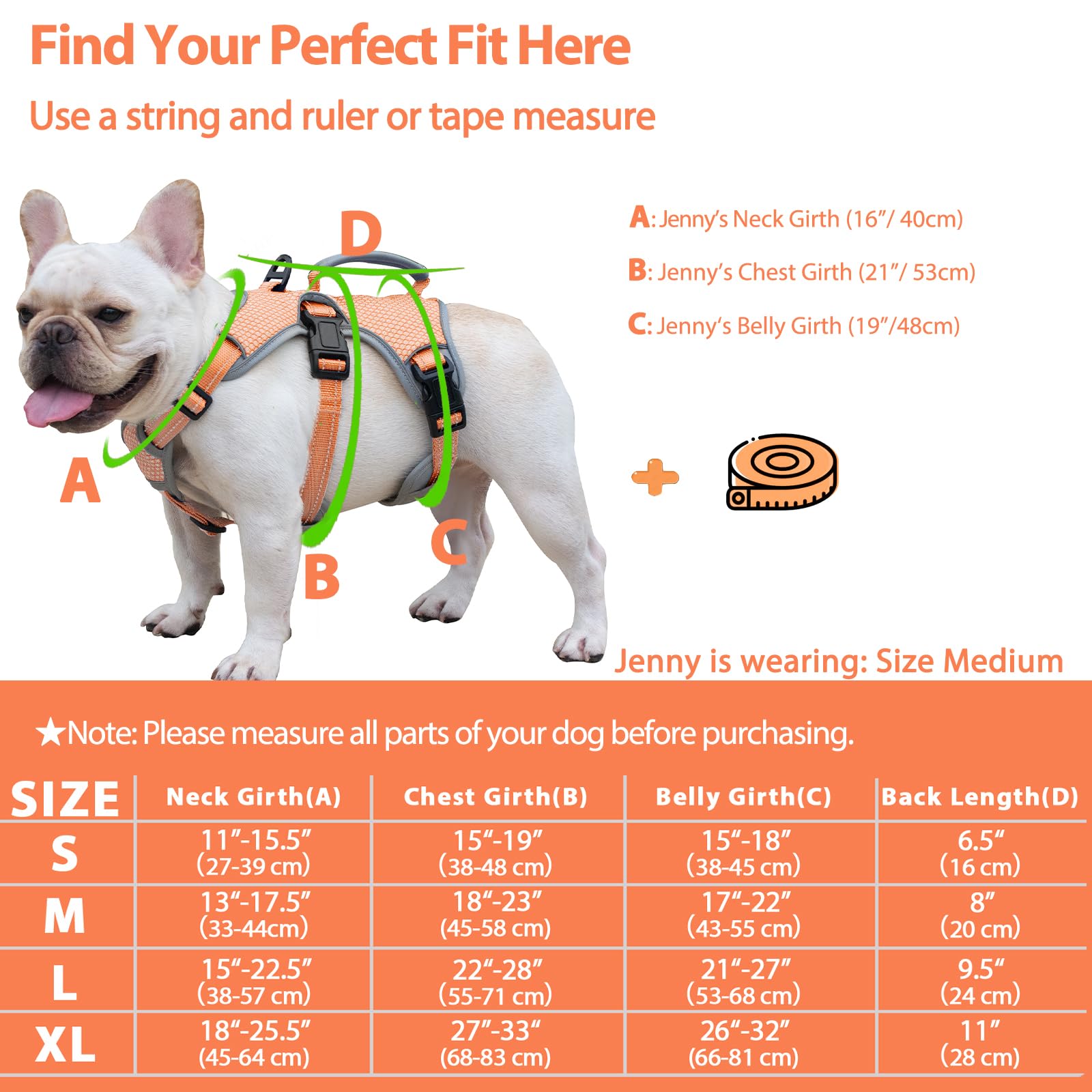 Huntboo back-d-ring on orange harness for reliable leash attachment