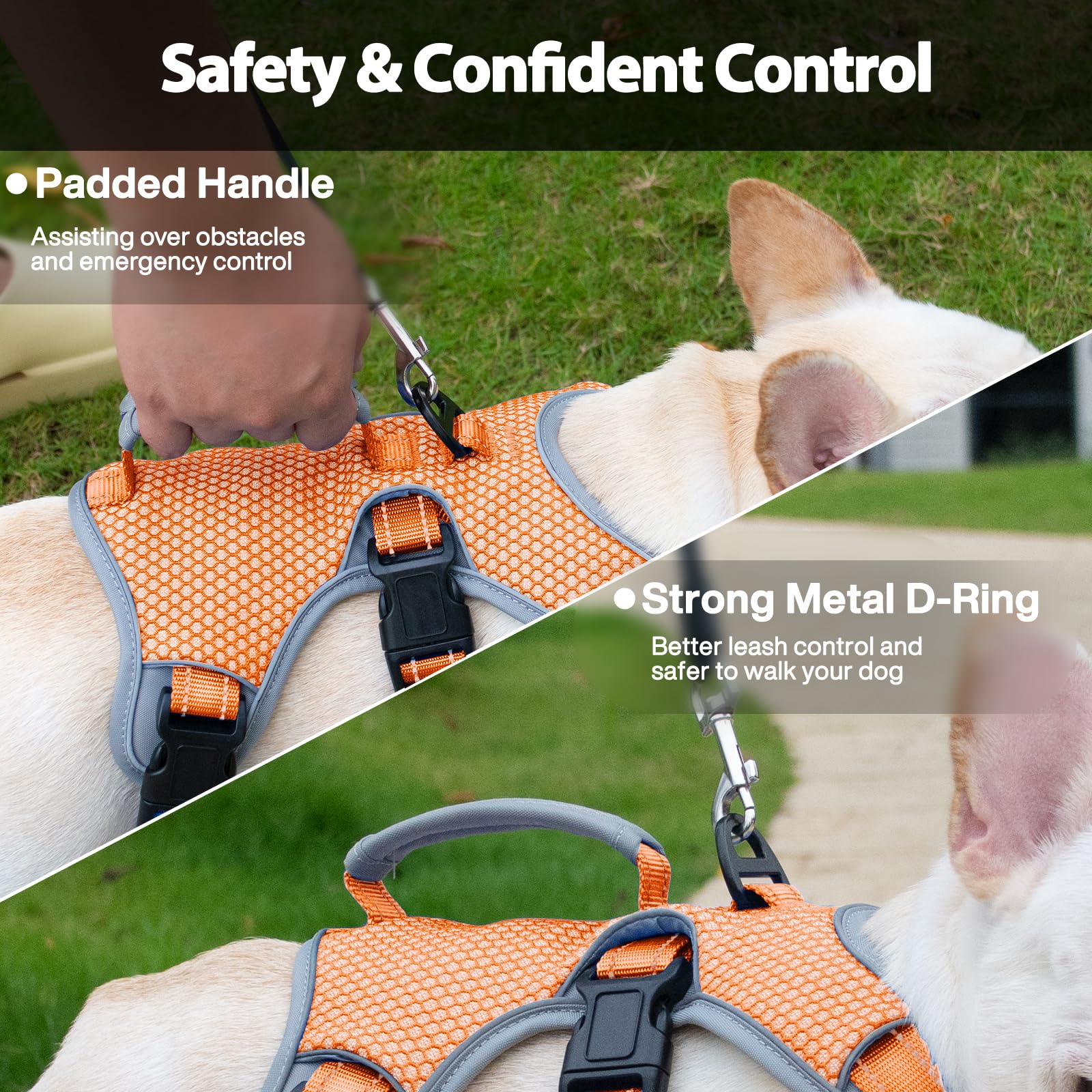 Huntboo belly-strap close-up on orange harness for secure restraint during training