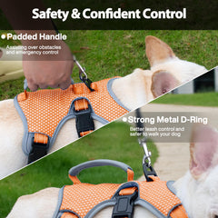 Huntboo belly-strap close-up on orange harness for secure restraint during training