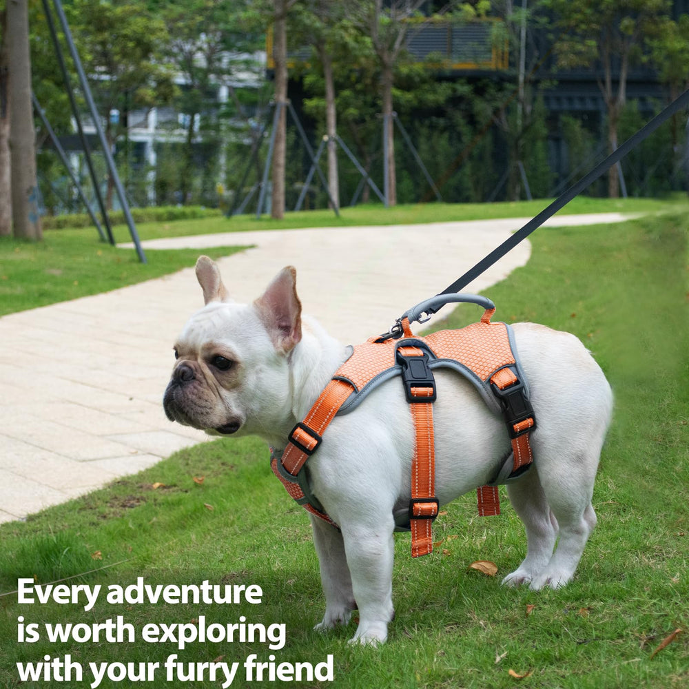 Huntboo durable all-season nylon harness in orange for outdoor use