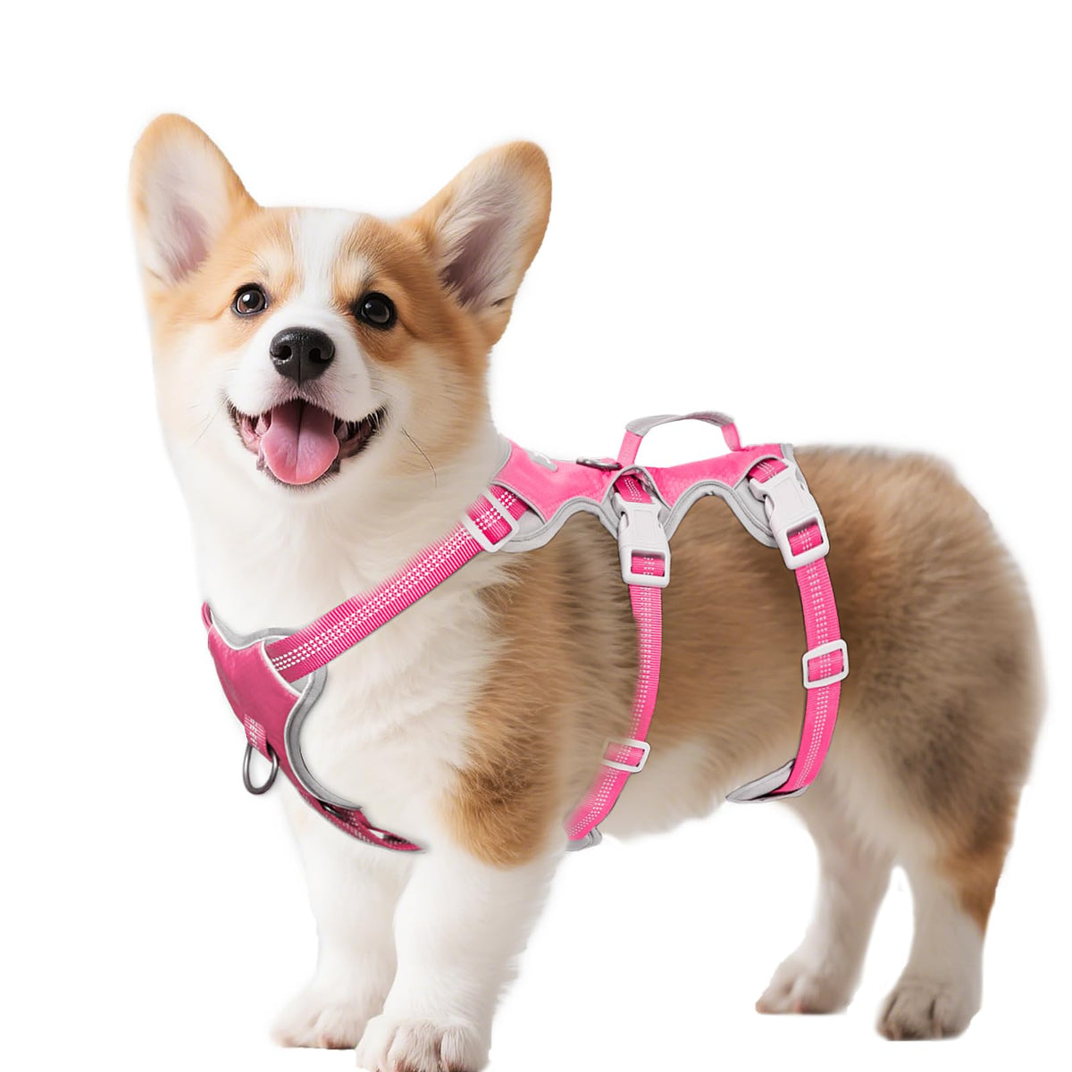 Huntboo Escape-Proof Harness back view with reflective safety for safer day and night walks.