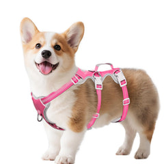 Huntboo Escape-Proof Harness back view with reflective safety for safer day and night walks.