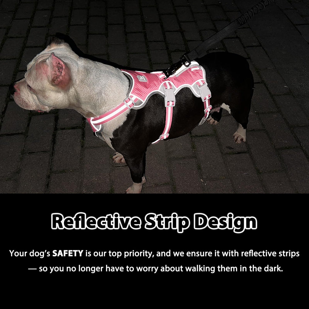 Huntboo breathable mesh fabric keeps dogs cool during long walks and runs.