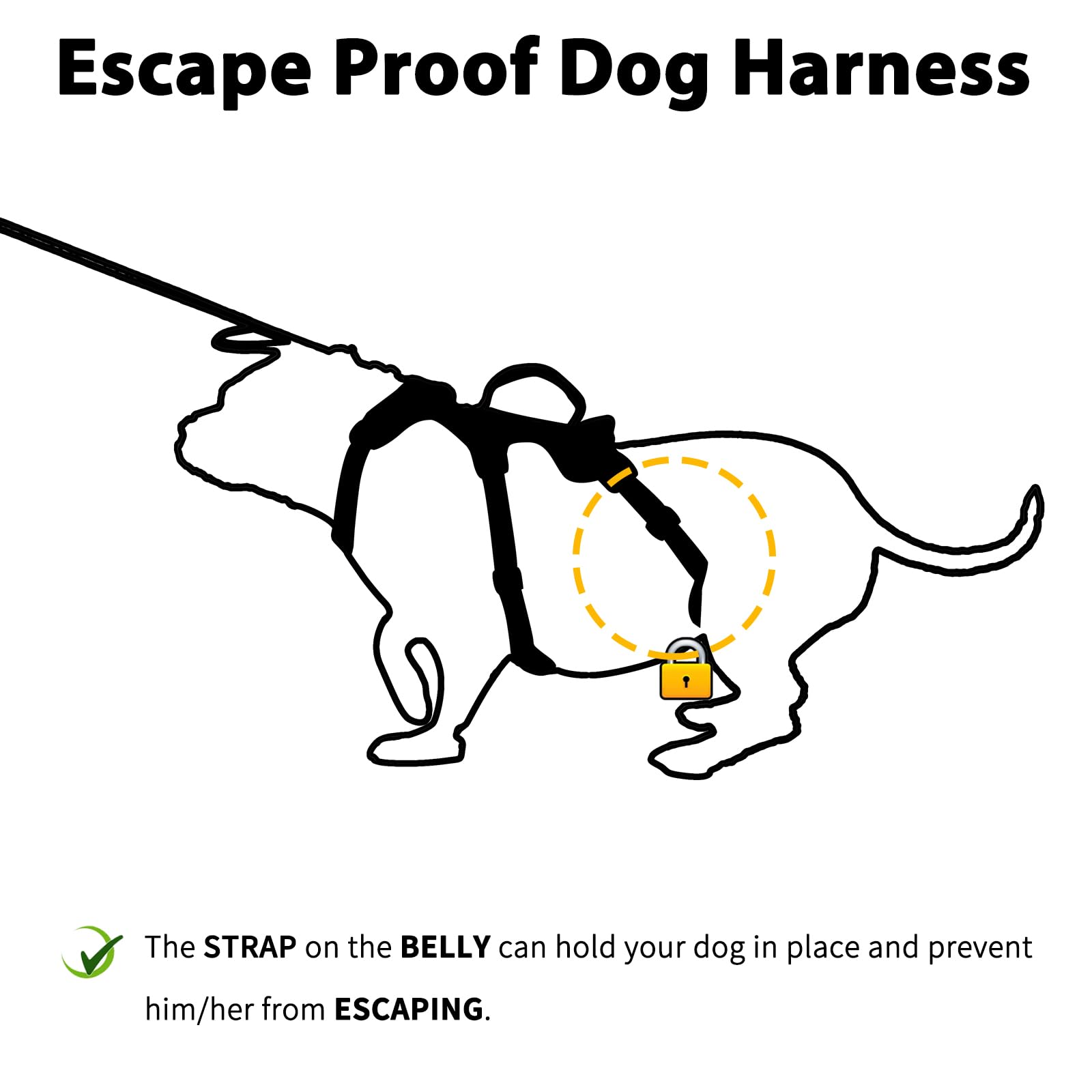 Huntboo harness chest clips highlight secure control and redirection during training sessions.