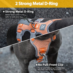Huntboo front-back-d-rings harness offers versatile control with front clipping