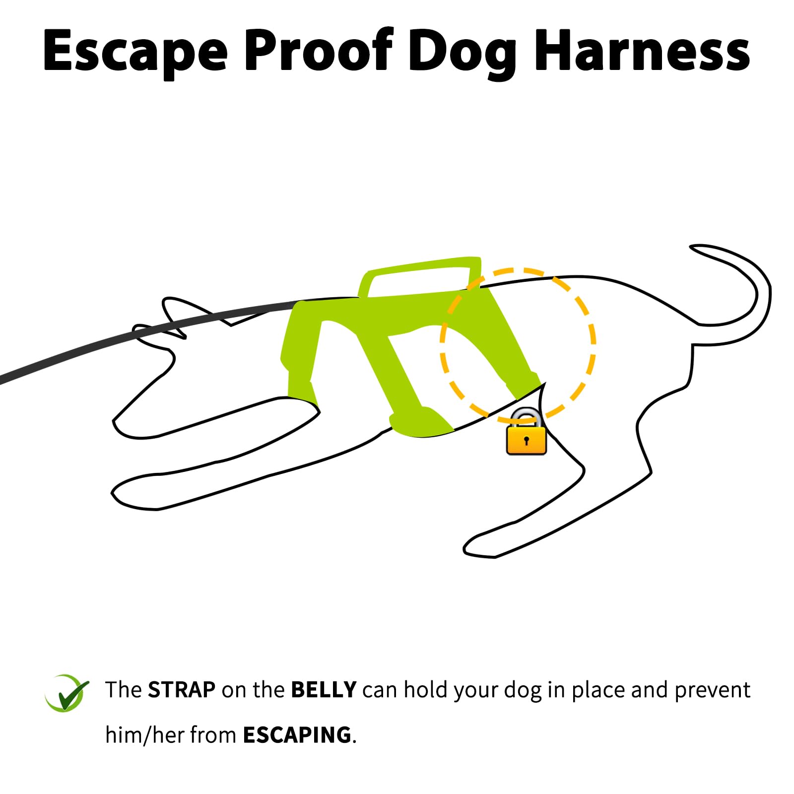 Huntboo escape-proof dog harness back view highlights sturdy construction
